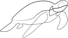 One-Line Ocean Turtle Drawing: Learn to Sketch Marine Life with Ease