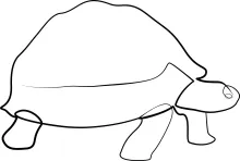 One Line Turtle Pet Drawing: Learn to Sketch Simple Shell Shapes with Confidence