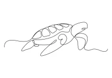 One Line Turtle Sketch: Build Drawing Habits with Simple Animal Shapes