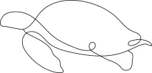 One Line Turtle Sketch: Practice Calm Reptile Forms with Simple Art Style