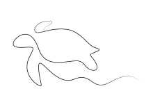 One Line Reptile Drawing: Learn Turtle Forms the Easy Way