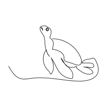 One Line Turtle Art: Simple Reptile Drawing for Beginners