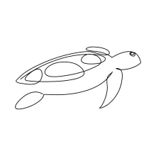 Easy One Line Turtle Drawing: Nature Art for Beginners