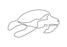 One Line Drawing for Turtles: Build Confidence with Basic Animal Shapes