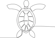 One Line Turtle Drawing: Discover Simple Reptile Forms with Continuous Line Technique