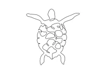 One Line Turtle Drawing for Kids: Easy Shapes and Big Learning
