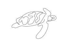 One Line Turtle Drawing: Explore Reptile Shapes with a Simple Art Method