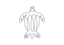 Beginner Turtle Drawing in One Line: Simple Animal Practice for Daily Art