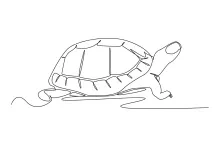 One Line Simple Turtle Drawing: Easy and Relaxing Reptile Practice for All Ages