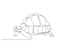 One Line Turtle Drawing in Motion: Easy Steps to Sketching a Walking Reptile