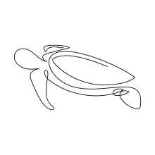 One Line Turtle Sketch: Fun and Simple Art for All Ages