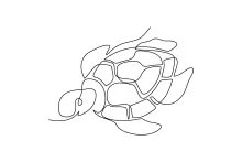 One Line Sea turtle Drawing: Learn Reptile Forms with a Slow and Steady Animal