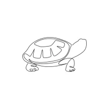 One Line Wild Desert Tortoise Drawing for Practicing Natural Forms