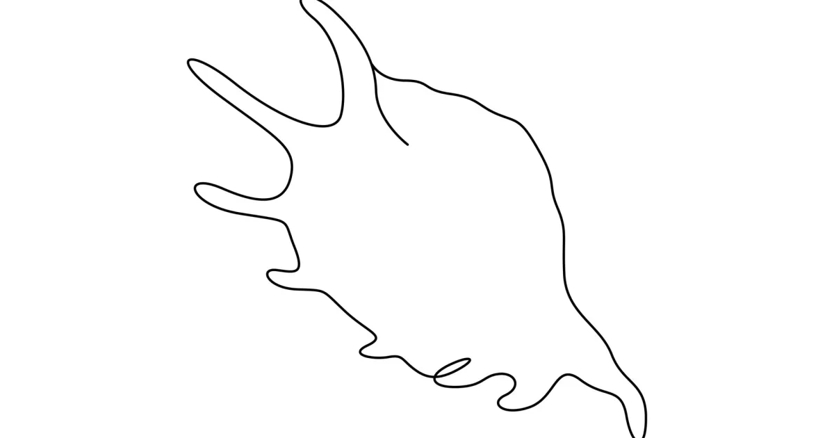 One Line Seashell One-Line Seashell Drawing for Natural Shape Study and Line Practice ...