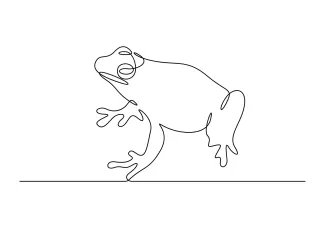 frog Continuous Line Frog Drawing Tutorial for Developing Shape Recognition Skills