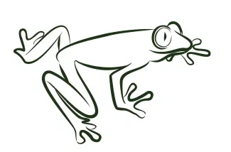 green wild frog One-Line Green Wild Frog Drawing: Practice Realistic Animal Shapes with Ease