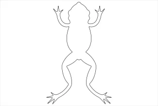 frog One-Line Frog Sketch for Learning Art Through Simple, Repeatable Forms