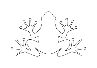 frog Practice Drawing Frogs with One Line to Strengthen Artistic Simplicity