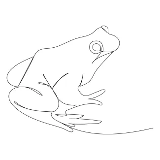 frog Basic Frog Drawing in One Line for Daily Drawing Routines