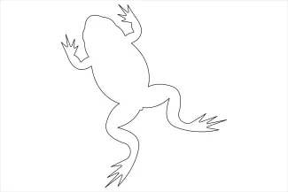 frog One-Line Frog Drawing for Practicing Animal Poses Without Complex Tools
