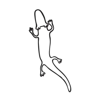 proteus anguinus amphibian One-Line Drawing of Proteus Anguinus: Explore Unusual Amphibians Through Line Art