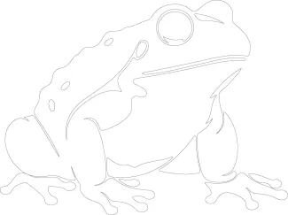 toad One-Line Toad Drawing: Practice Texture-Free Forms with Bumpy Shapes
