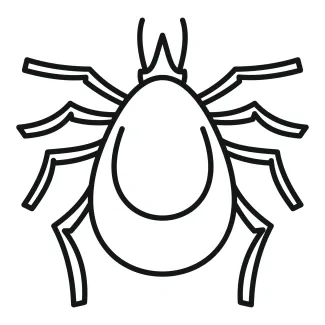 Mite simple sketch Simple line drawing of a tiny mite insect.