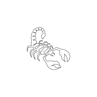 Wild scorpion sketch Wild scorpion continuous line drawing for beginners.