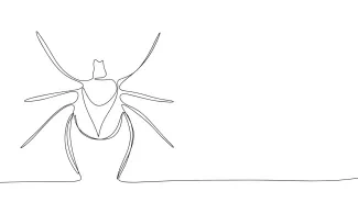 Tick line drawing Tick nature art simple line drawing.