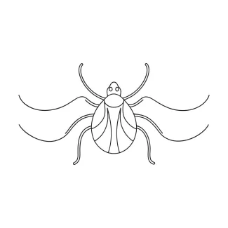 Tick insect drawing Tick insect simple continuous line illustration.
