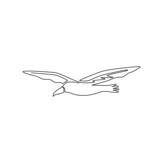 One Line Albatross Drawing: A Gentle Way to Sketch Large Seabirds