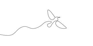 One Line Drawing of a Flying Bird: Improve Motion Awareness in Quick Sketches