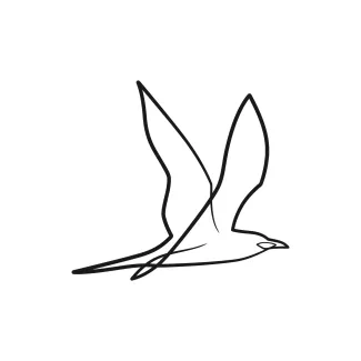 One-Line Drawing of a Small Bird: Practice Quick Sketching with Recognizable Forms