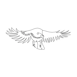 Flying Bird One-Line Sketch: Build Confidence Drawing Common Motion Forms