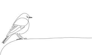 "Minimalist One-Line Sitting Bird Drawing: Capturing a Calm and Restful Wildlife Moment"
