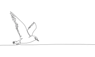 "Minimalist One-Line Bird Drawing: Capturing Nature’s Beauty in Simple Form"