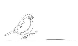 "Minimalist One-Line Bird Drawing: Capturing the Essence of Small Wildlife in Simple Art"