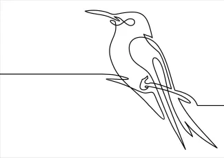 "One-Line Bird Drawing: A Minimalist Approach to Representing Avian Beauty"