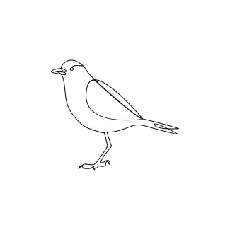 "Minimalist One Line Bird Drawing: Capturing the Essence of Avian Elegance"