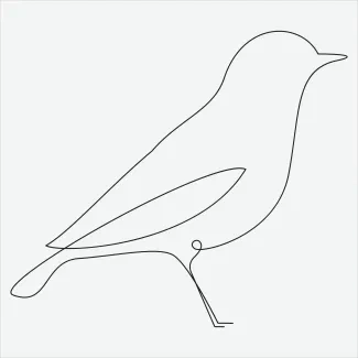 "One Line Bird Drawing: A Minimalist Approach to Avian Beauty and Form"