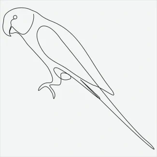 Parrot "One Line Parrot Drawing: A Minimalist Study of a Playful and Expressive Bird"