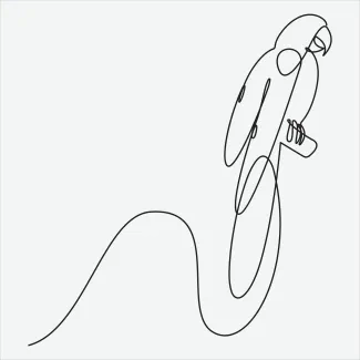 Parrot "Minimalist One Line Parrot Drawing: Capturing the Spirit of a Tropical Bird"