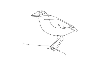 One Line Bird Drawing for Beginners: Learn Animal Shapes with Simple Drawing