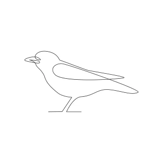 One Line Drawing of a Small Bird: A Beginner-Friendly Guide to Animal Line Art