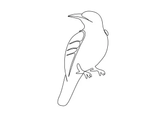 One Line Bird Drawing Practice: Simple Art for Learning Animal Shapes