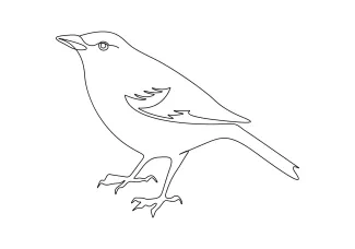Draw a Bird with One Line: Easy Practice for Building Drawing Confidence
