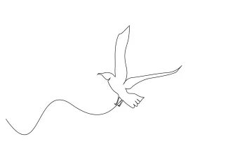 One Line Flying Bird Drawing: Practice Wings and Movement in Simple Animal Art
