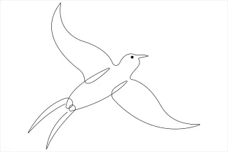 One Line Drawing of a Cute Bird: Practice Simple Art That Builds Shape Memory