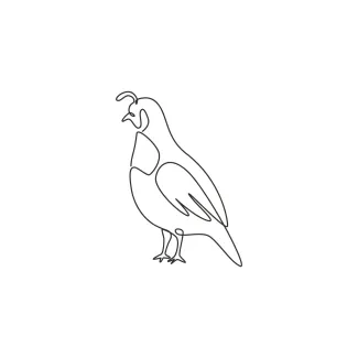 "Minimalist One Line California Quail Drawing: Capturing a Curious Ground-Dweller"