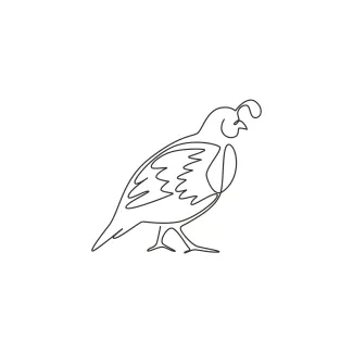"One Line California Quail Drawing: A Minimalist Study of a Distinctive Ground Bird"